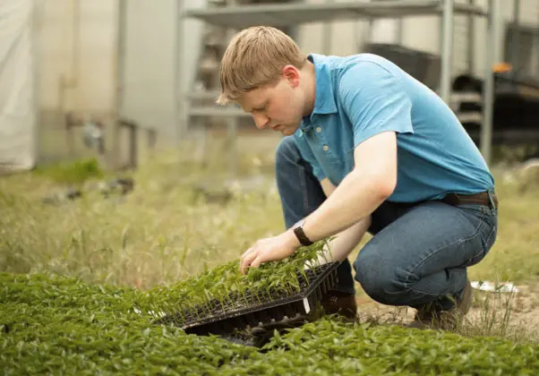 Una variedad de cursos adaptados a las necesidades de cada estudiante. Imagen 24 (Nombre Farming)