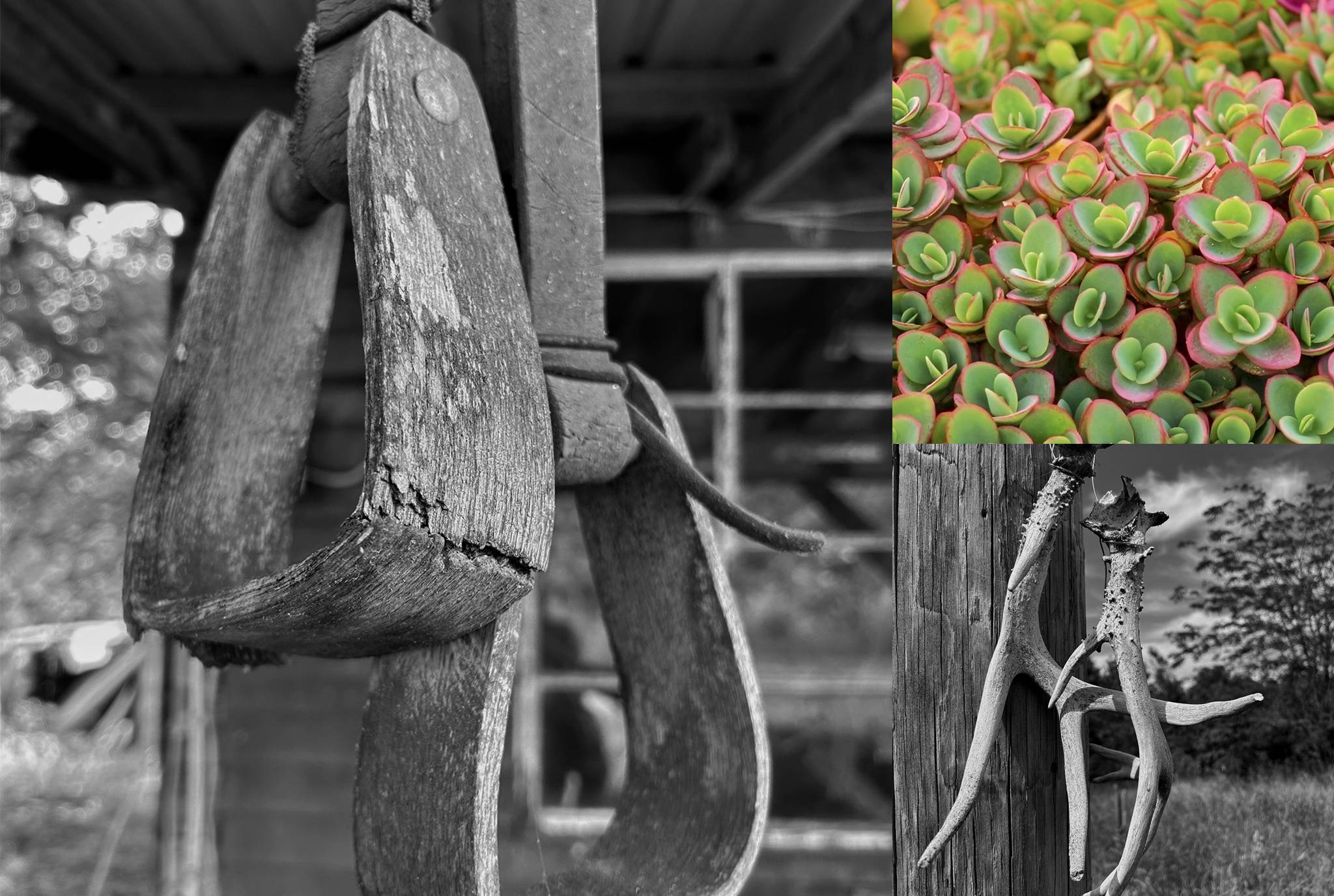 Spotlight on Talent: conoce a los ganadores del concurso de fotografía 2024 K12