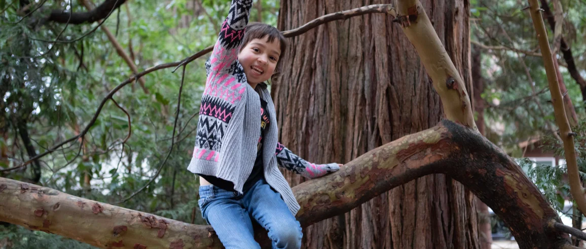 Un niño con un suéter colorido se sienta alegremente en la rama de un árbol, rodeado de exuberante vegetación. La escena transmite una sensación de aventura y felicidad.