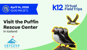 Visit the Puffin Rescue Center in Iceland