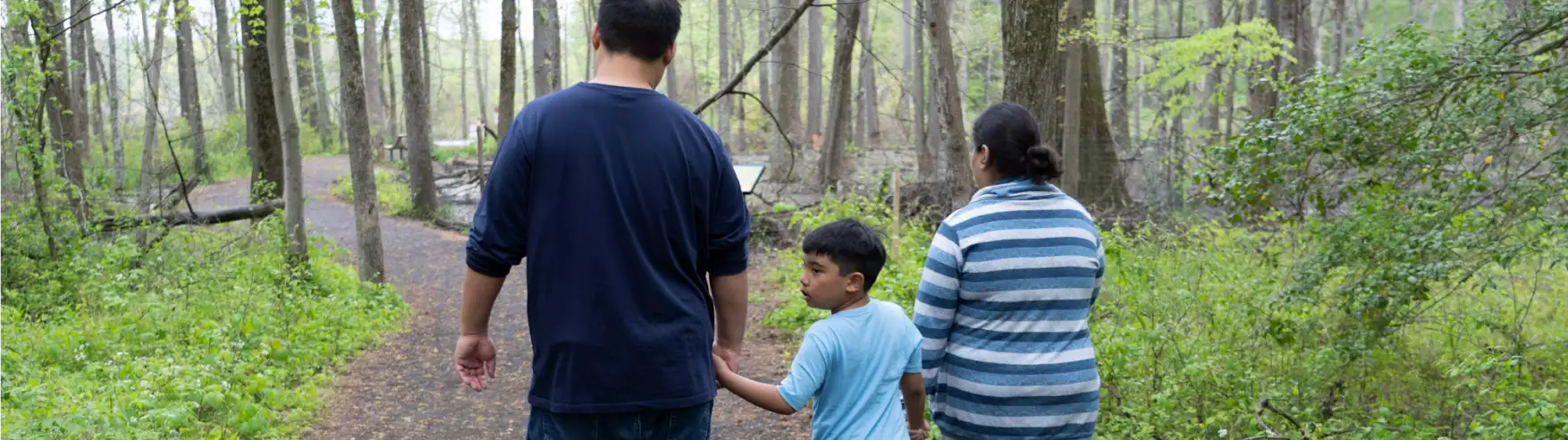 A family of three walks on a forest trail. The father and son hold hands, and the mother walks beside them. The atmosphere is serene and green.