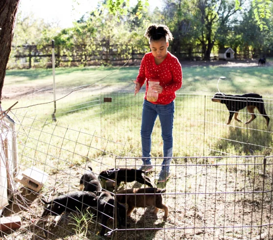 A child in a red polka dot shirt feeds puppies inside a wire pen on a sunny day. The background features green trees, grass, and another dog.