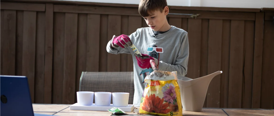 Young boy in pink gloves planting seeds indoors at a table, focused and engaged. He is pouring soil from a colorful bag into white pots, with a watering can nearby.