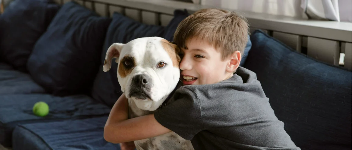 A smiling boy hugs a calm white and brown dog on a dark blue sofa. A green tennis ball is visible on the sofa, creating a warm, friendly atmosphere.