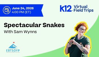 Spectacular Snakes with Sam Wynns